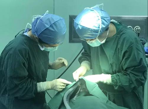 住院-手术-出院，48小时内完成？德州扑克游戏网
首例日间手术做到了！