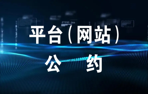 平台（网站）公约
