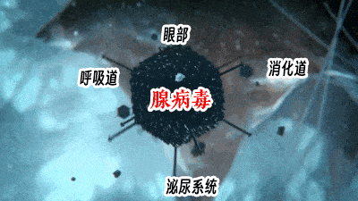 02.gif